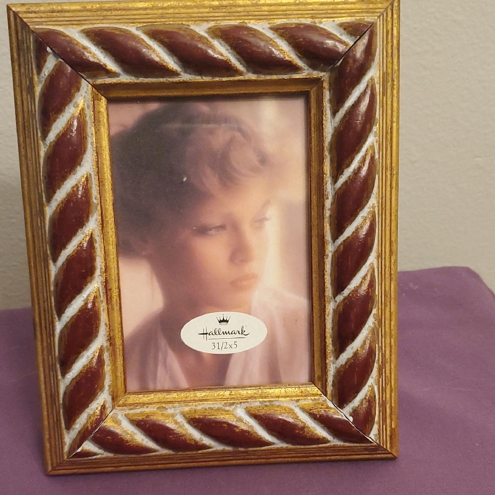 Hallmark Gold and Brown Picture Frame